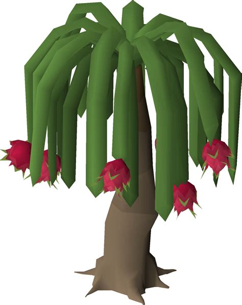 Dragonfruit tree osrs - Additional drops [edit | edit source]. Beaver - Oak trees have a chance to drop the beaver Woodcutting pet. At level 15 Woodcutting there is a 1 in 360,771 chance to receive the beaver and a 1 in 358,671 chance at level 99. Oak trees have the lowest base chance to drop the beaver pet. Bird Nest – There is 1 in 256 chance to drop from Oaks. The bird …